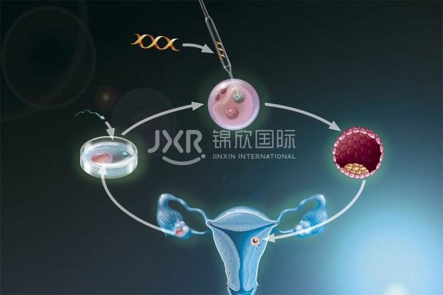 试管婴儿-周期900-JX.jpg