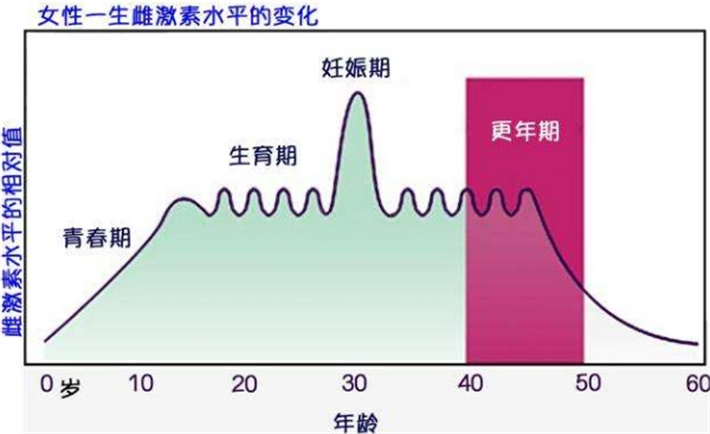 女性雌激素变化