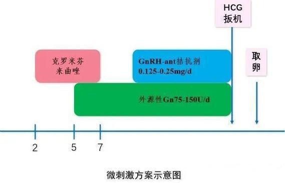 微刺激方案