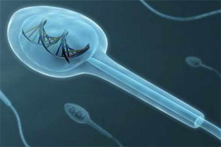 精子DNA