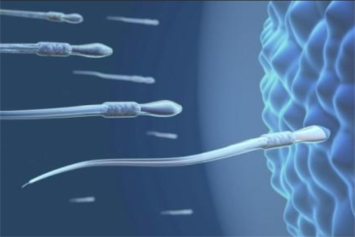 精子质量下降