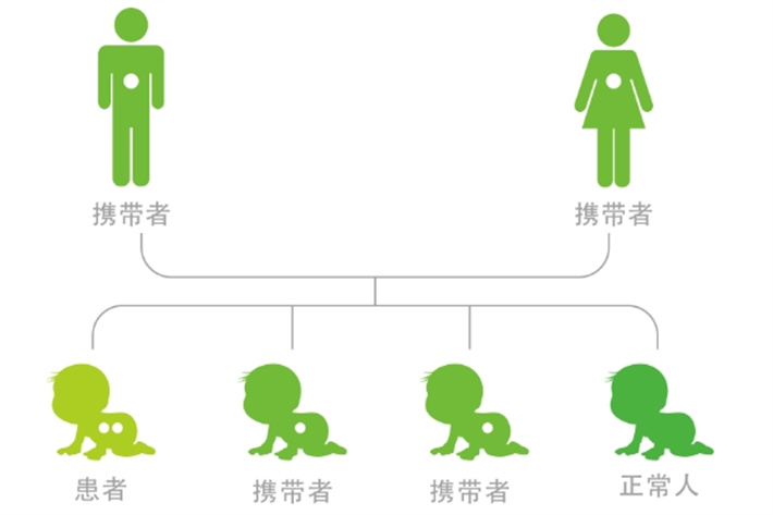 遗传风险增加