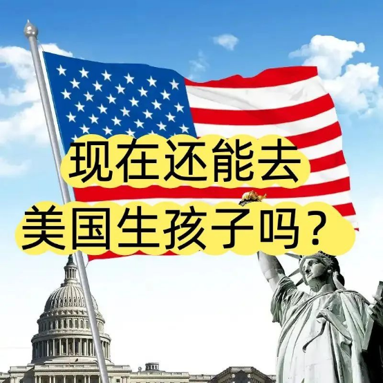 赴美生子