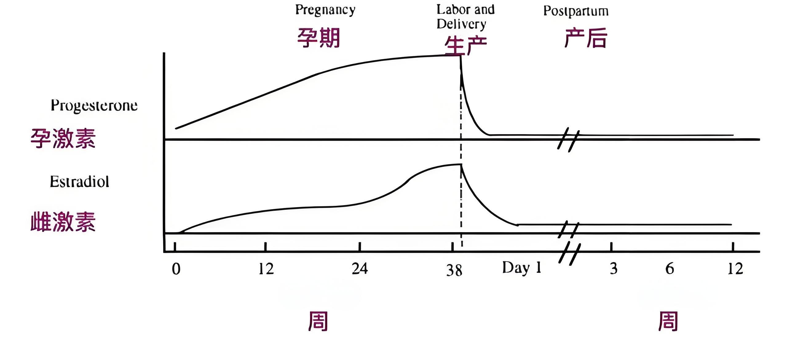 激素水平变化