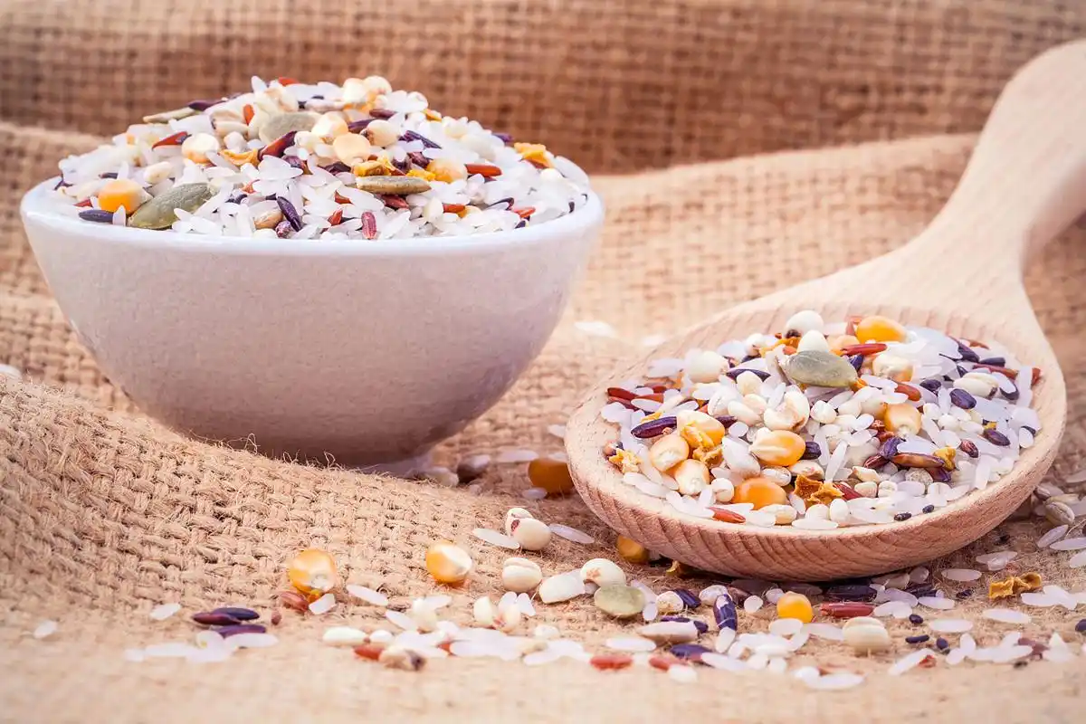 控制碳水化合物摄入