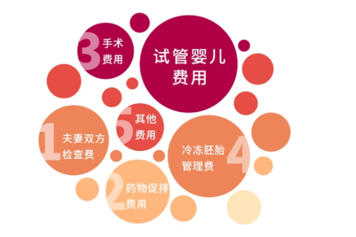 试管费用