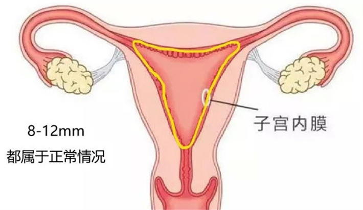 子宫调理