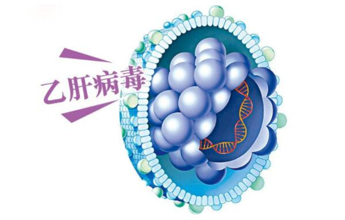 乙肝.jpg