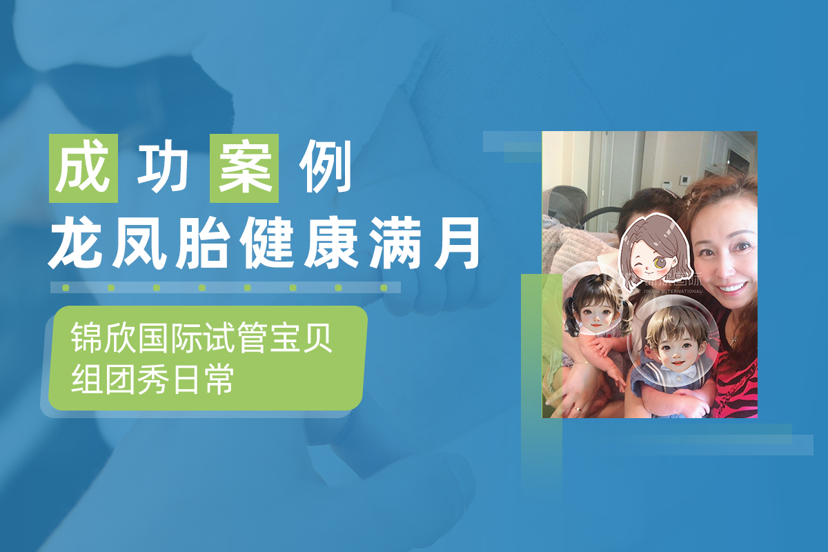 成功案例