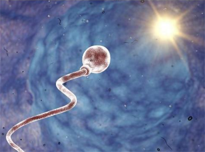 精子和卵子质量差