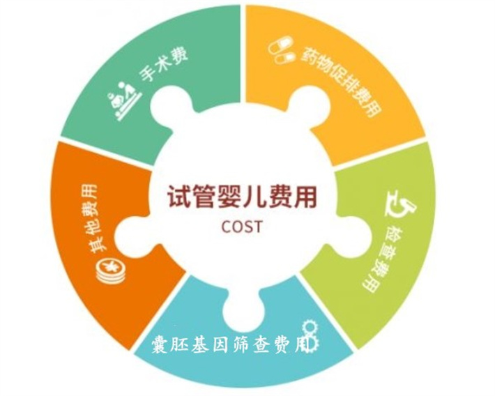试管费用
