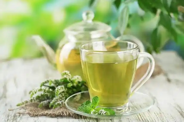 适度饮茶