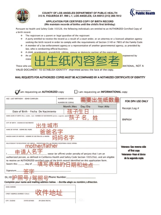 出生纸内容