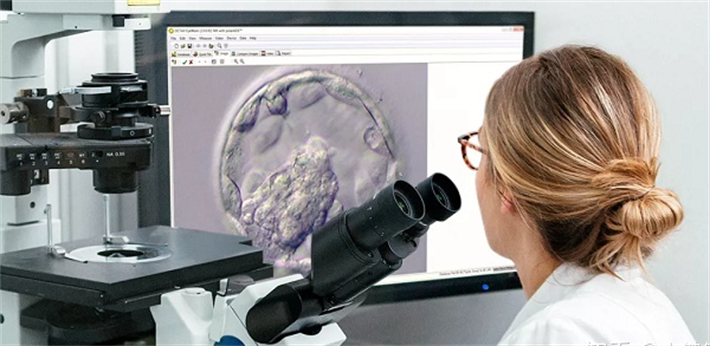 没有通过基因检测