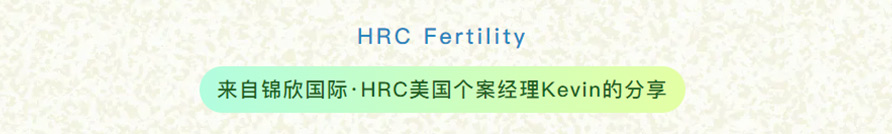 成功案例