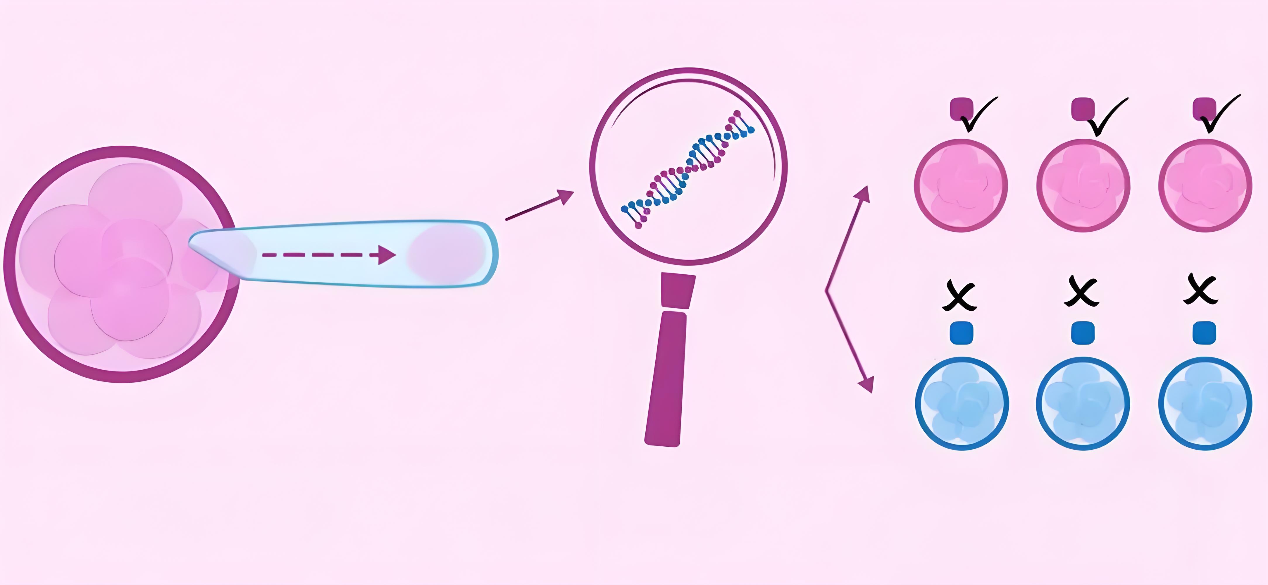 个性化需求满足
