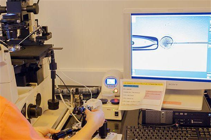 单精子注射技术