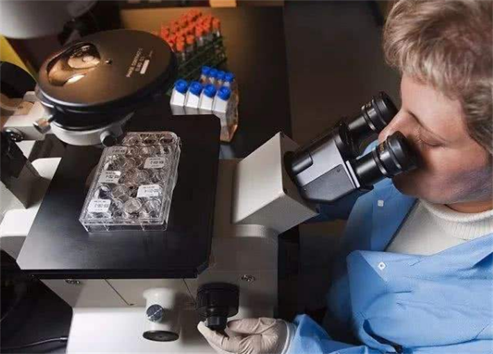 胚胎培育实验室