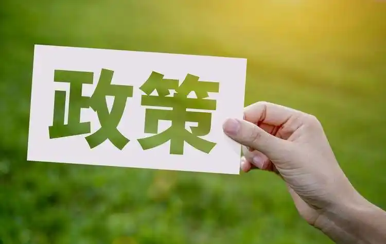 宽松的生殖政策