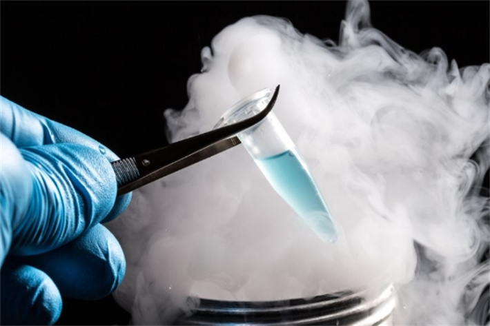 冷冻保存积累周期