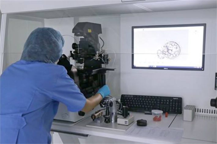 形态学评估——观察胚胎的“自主性”