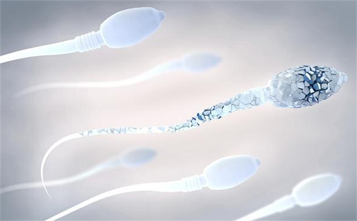 精子DNA碎片率高