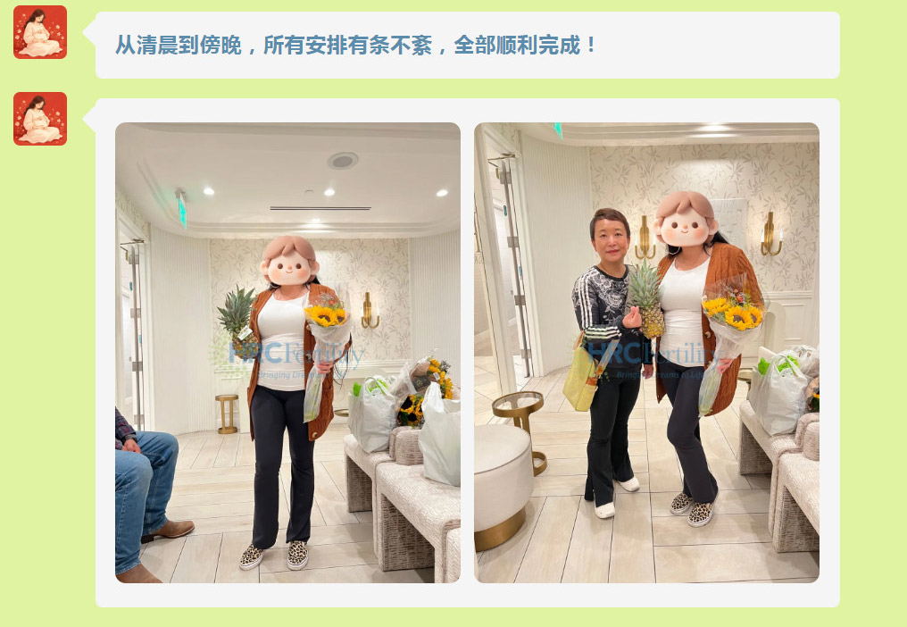 成功案例