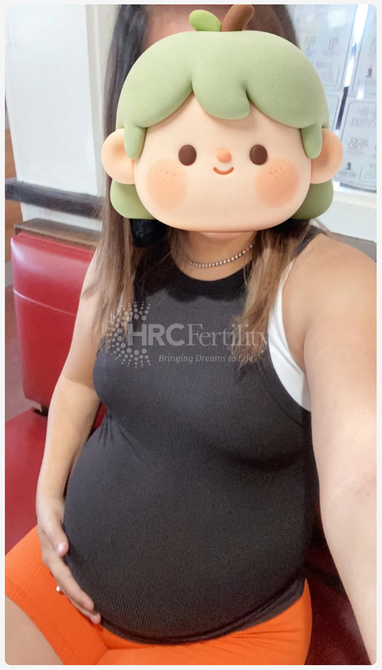 成功案例