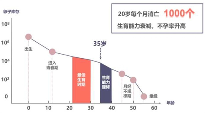 卵巢储备