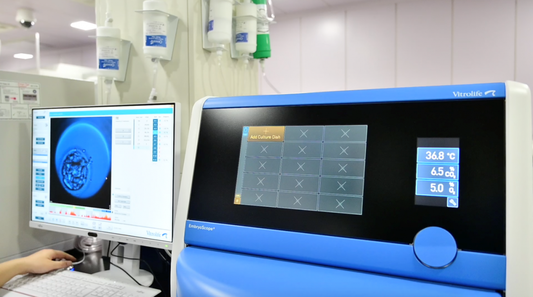 EmbryoScope+时差成像系统