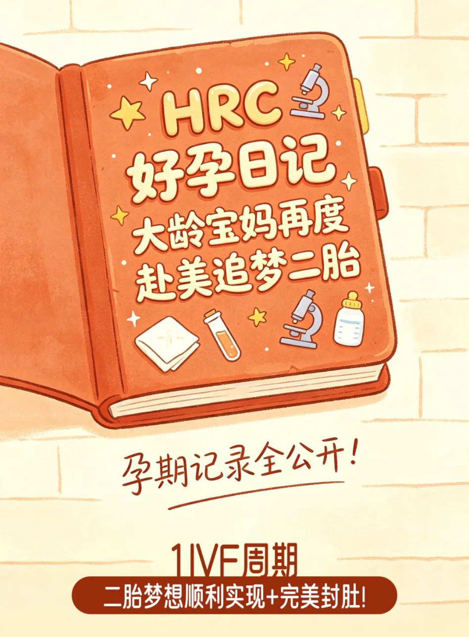 案例