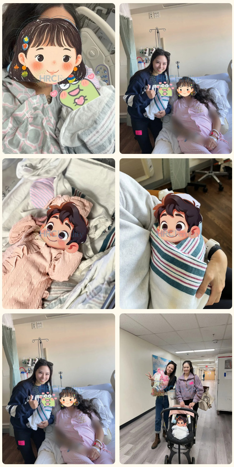 案例