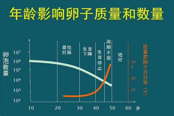 年龄与卵子.png