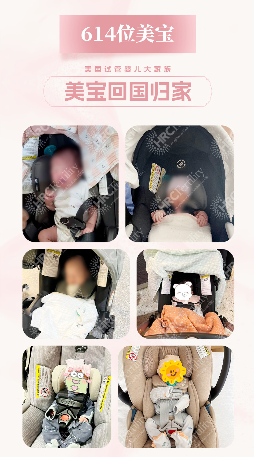 614名美籍宝宝顺利归国