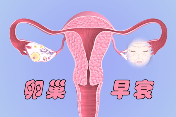 卵巢早衰 高清图.png