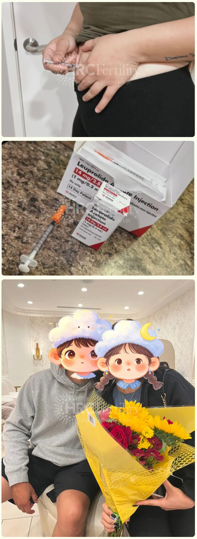 成功案例