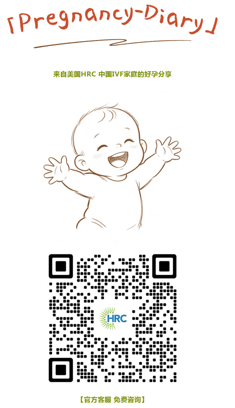 成功案例