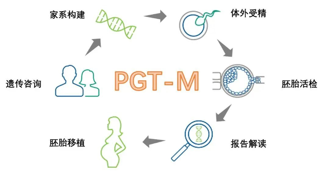PGT-M 技术
