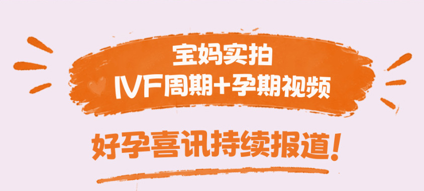 成功案例