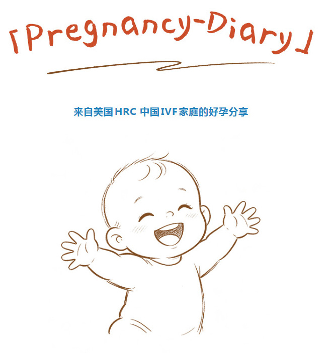 成功案例